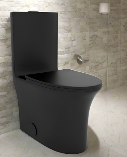 Matt Black One Piece Toilet