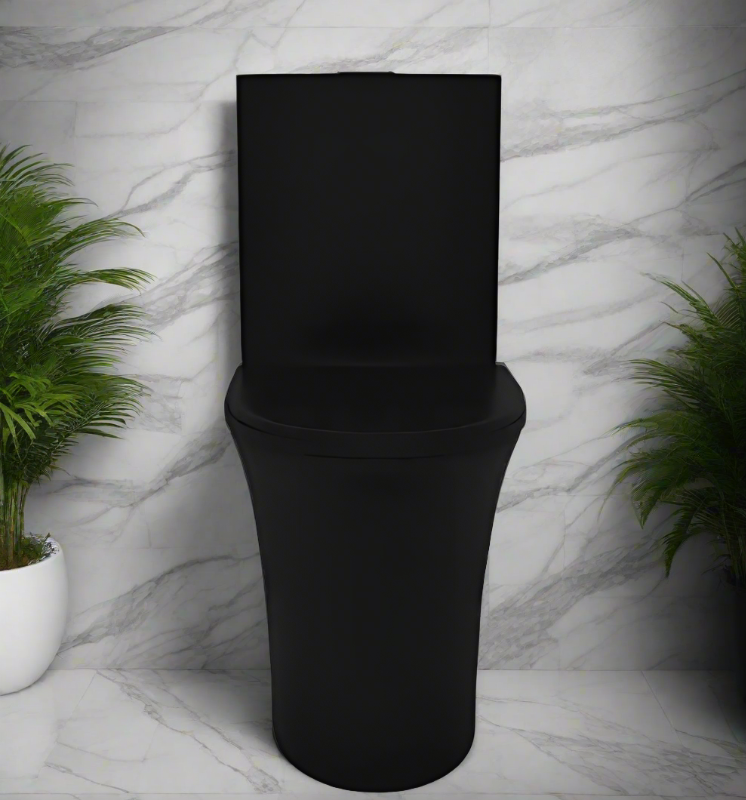 Matt Black One Piece Toilet