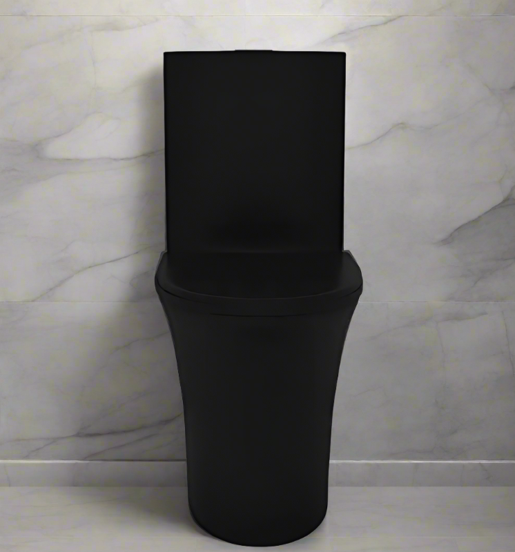 Matt Black One Piece Toilet