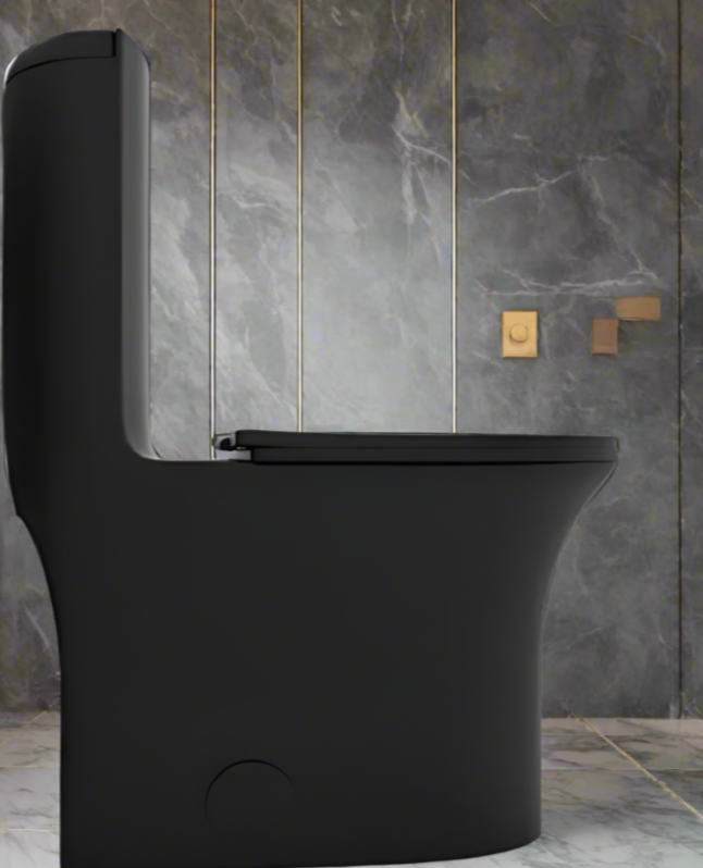 Matt Black One Piece Toilet