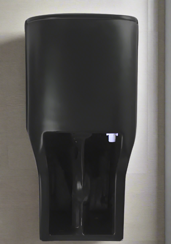 Matt Black One Piece Toilet