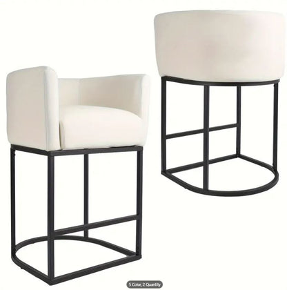 Modern Counter Height Bar Stools Set Of 2