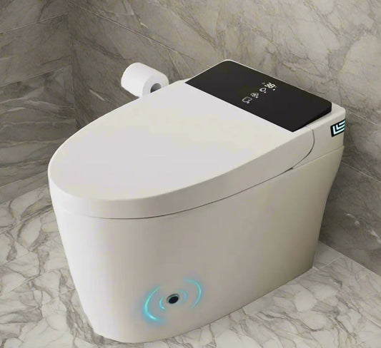 Smart Toilet With Bidet Built In