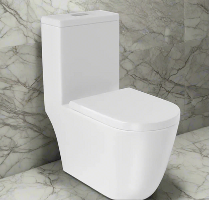 Rear Outlet One Piece Toilet