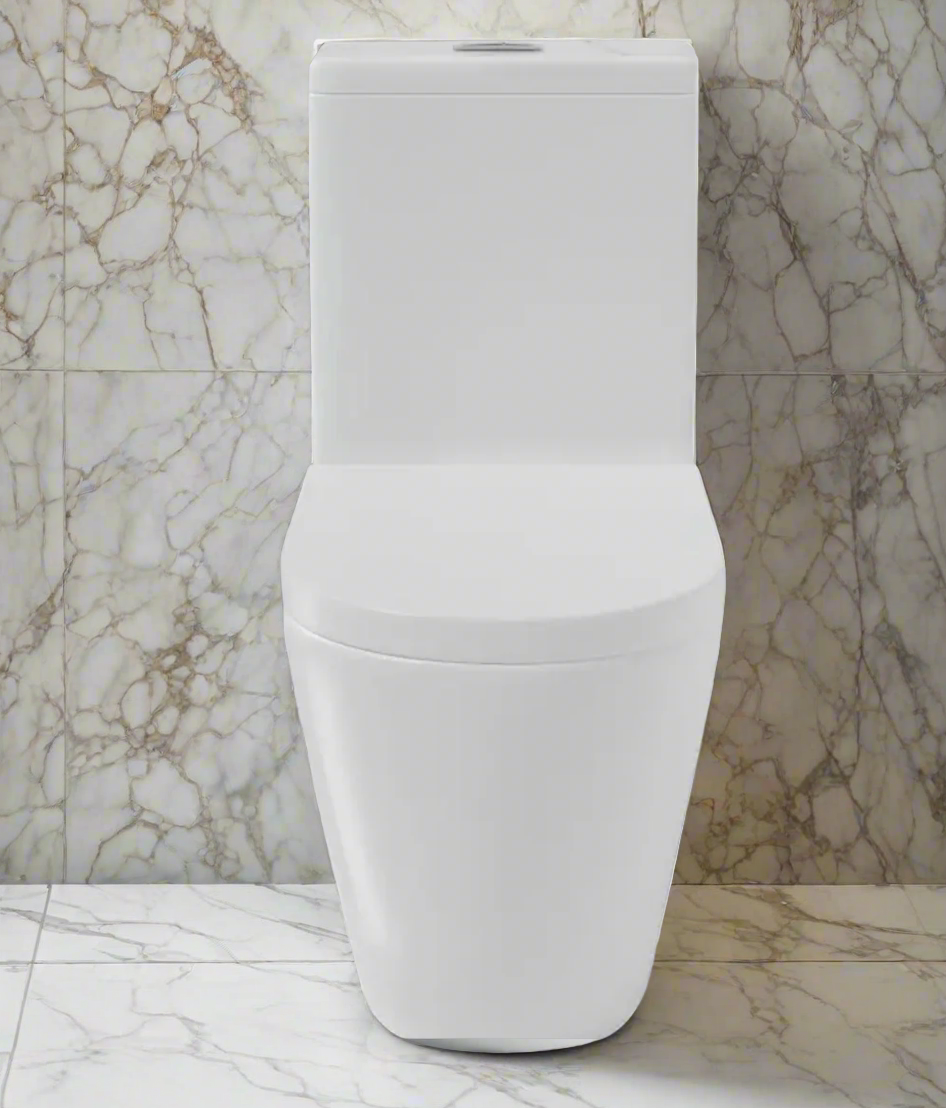 Rear Outlet One Piece Toilet