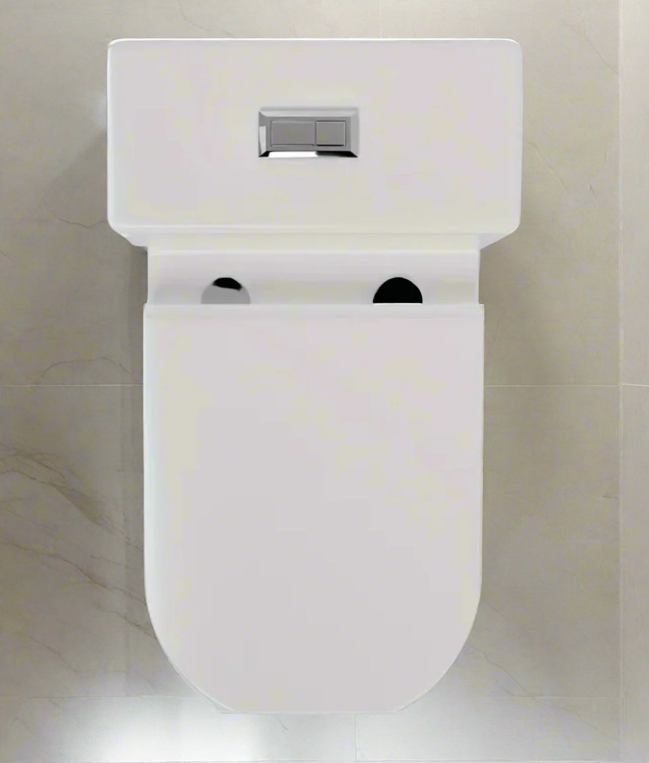 Rear Outlet One Piece Toilet