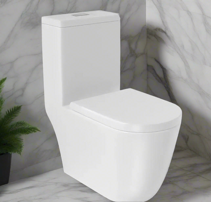 Rear Outlet One Piece Toilet